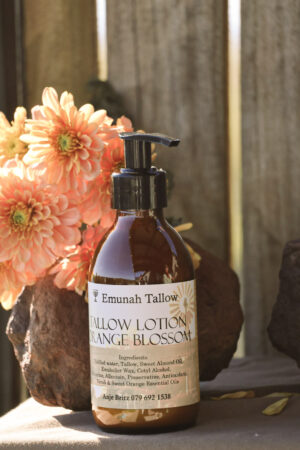 orange blossom tallow lotion